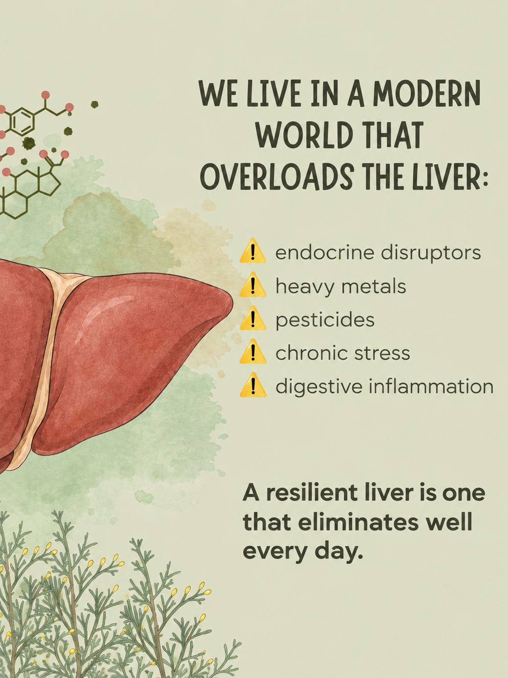 Organic Golden Liver Cleanse Liquid Extract | Liver + Digestive Support