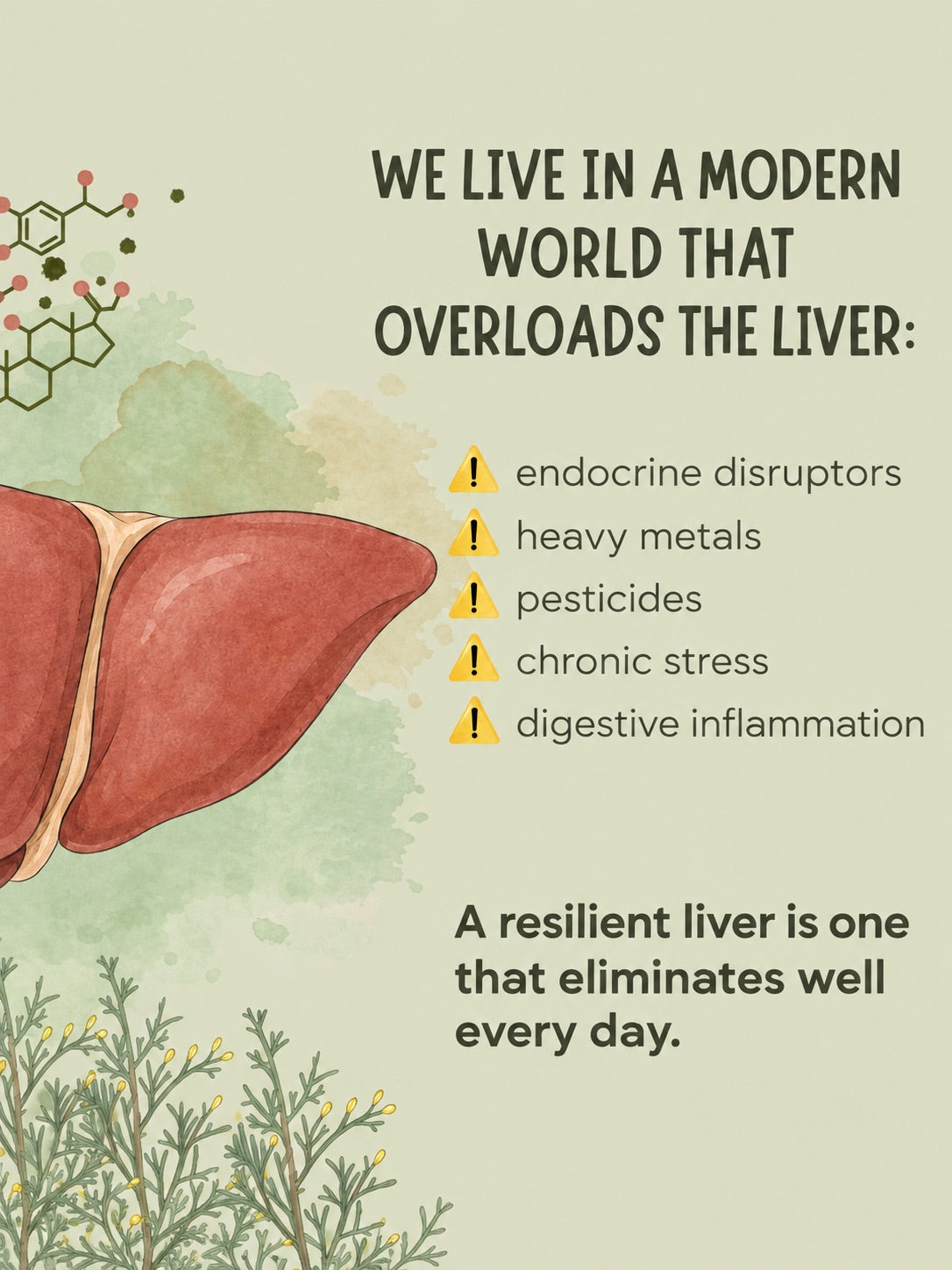 Organic Golden Liver Cleanse Liquid Extract | Liver + Digestive Support