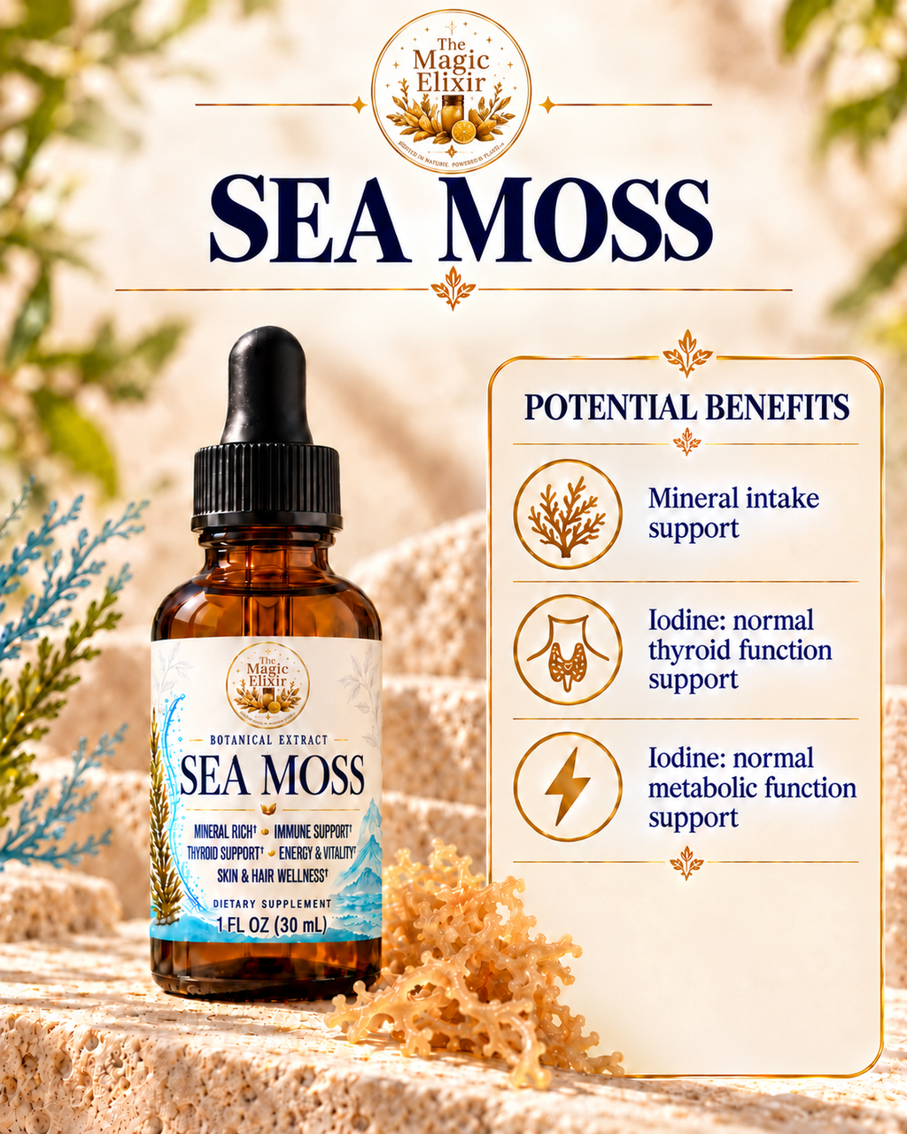 Organic Sea Moss Liquid Extract | Mineral + Daily Wellness Support
