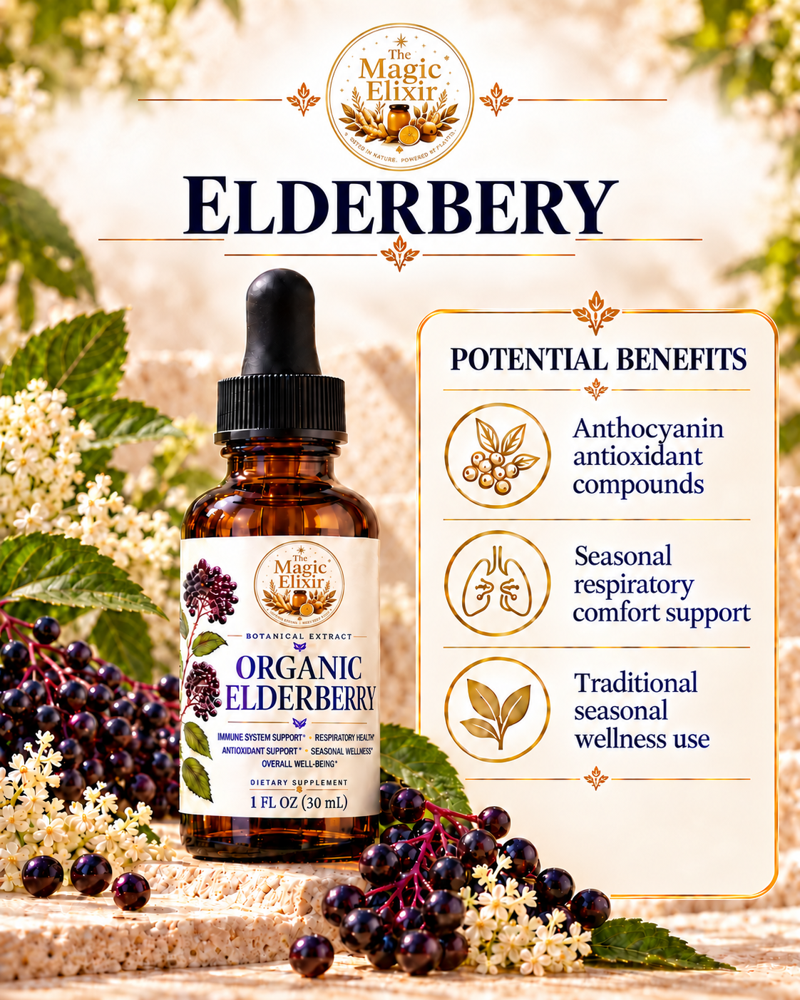 Organic Elderberry Liquid Extract | Immune + Antioxidant Support